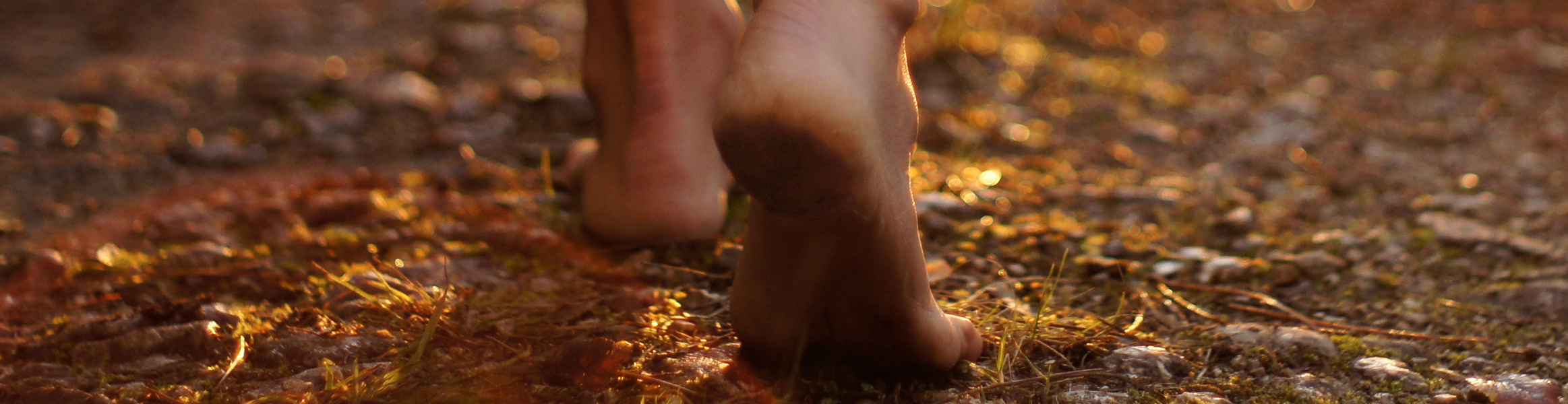 Environmental Footprint
