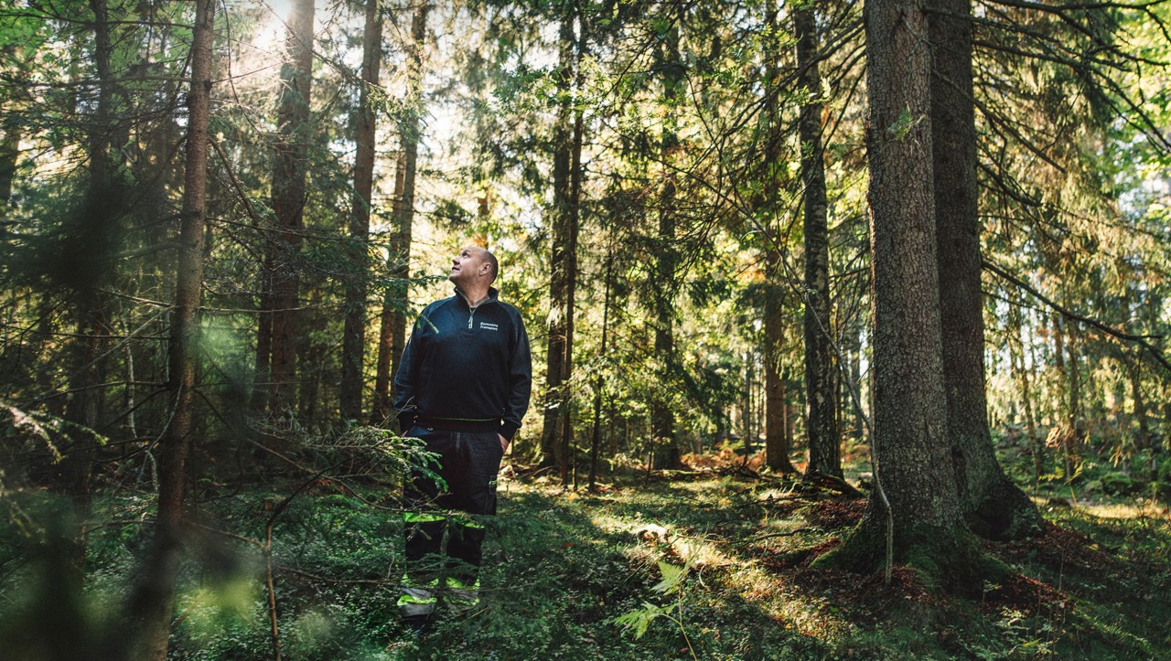 Bert Johansson în pădure